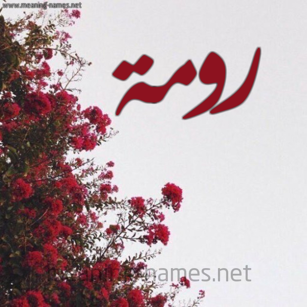 شكل 18 صوره الورد الأحمر للإسم بخط رقعة صورة اسم رومة رَومَة-Rwmh