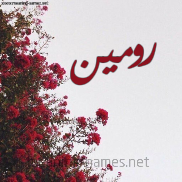 شكل 18 صوره الورد الأحمر للإسم بخط رقعة صورة اسم رومين romeen