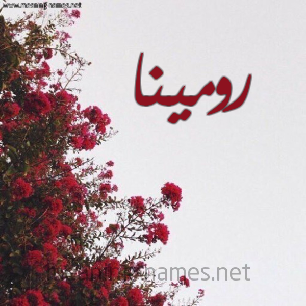 شكل 18 صوره الورد الأحمر للإسم بخط رقعة صورة اسم رومينا romina