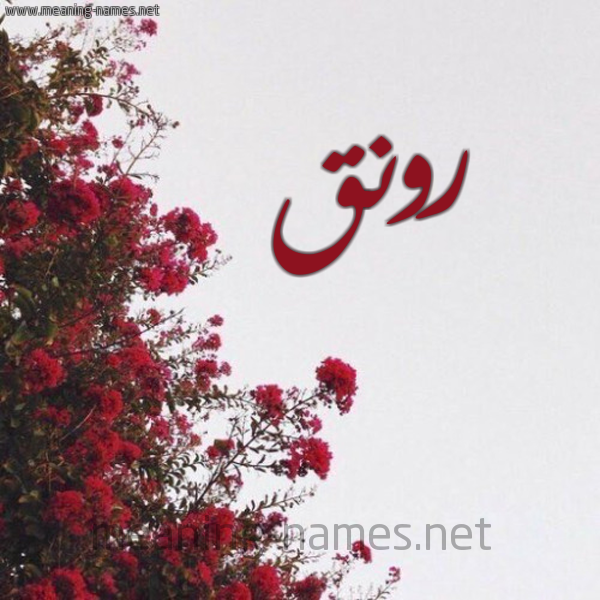شكل 18 صوره الورد الأحمر للإسم بخط رقعة صورة اسم رونق Rwnq