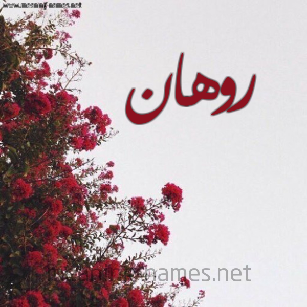 شكل 18 صوره الورد الأحمر للإسم بخط رقعة صورة اسم روهان Rohan