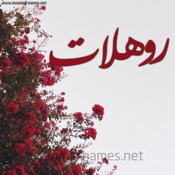 شكل 18 صوره الورد الأحمر للإسم بخط رقعة صورة اسم روهلات Rohlat