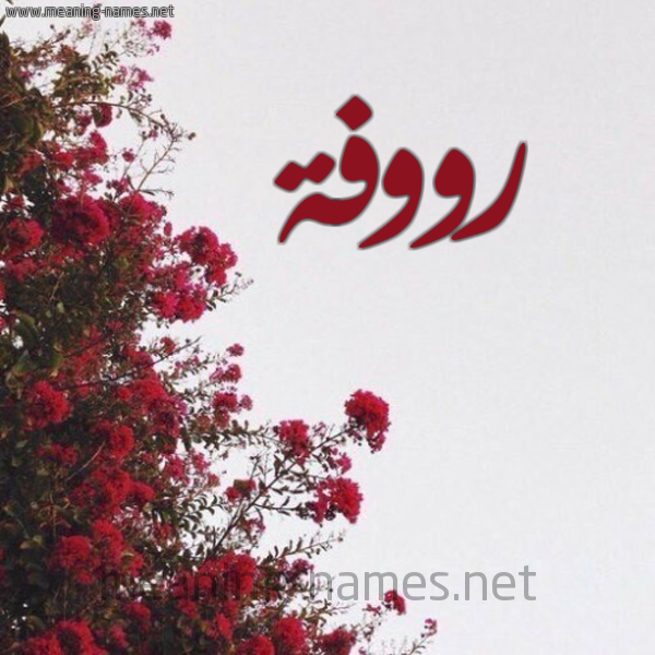 شكل 18 صوره الورد الأحمر للإسم بخط رقعة صورة اسم رووفة Roufah