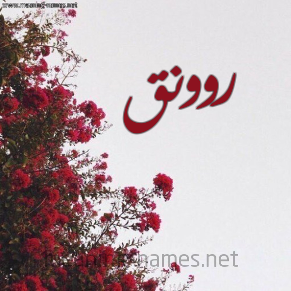 شكل 18 صوره الورد الأحمر للإسم بخط رقعة صورة اسم روونق Rawnaq