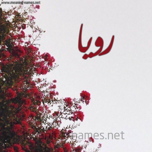 شكل 18 صوره الورد الأحمر للإسم بخط رقعة صورة اسم رويا Roya