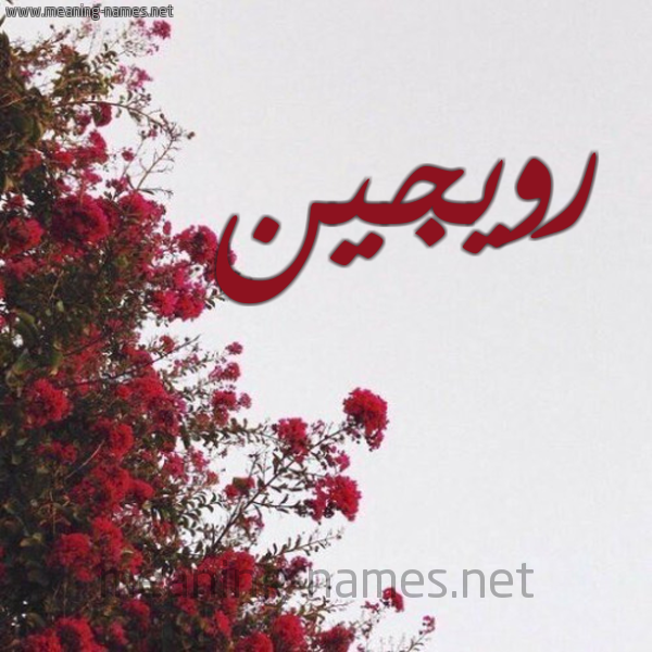 شكل 18 صوره الورد الأحمر للإسم بخط رقعة صورة اسم رويجين Rogin