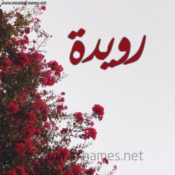 شكل 18 صوره الورد الأحمر للإسم بخط رقعة صورة اسم رويدة Rowida