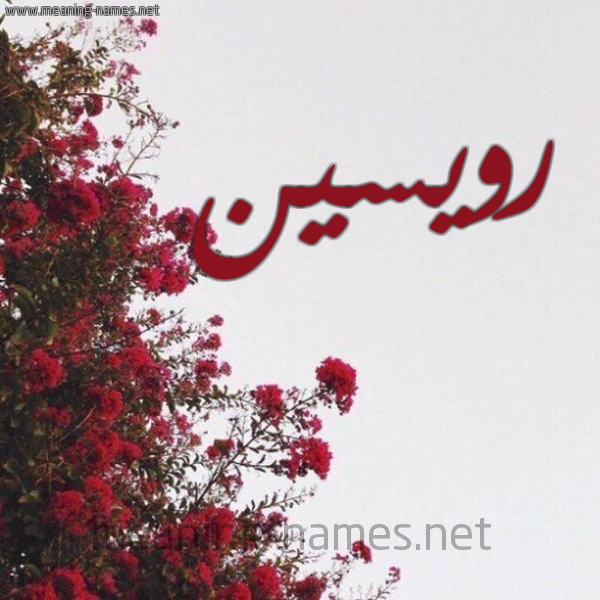 شكل 18 صوره الورد الأحمر للإسم بخط رقعة صورة اسم رويسين roiseen