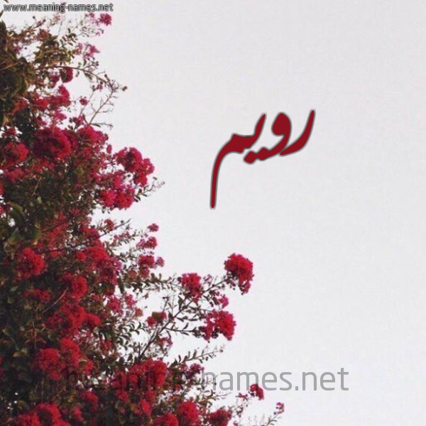 شكل 18 صوره الورد الأحمر للإسم بخط رقعة صورة اسم رويم Roim