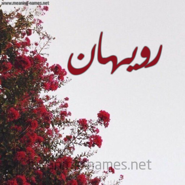 شكل 18 صوره الورد الأحمر للإسم بخط رقعة صورة اسم رويهان Rohan