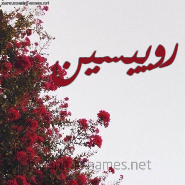 شكل 18 صوره الورد الأحمر للإسم بخط رقعة صورة اسم روييسين Roisin