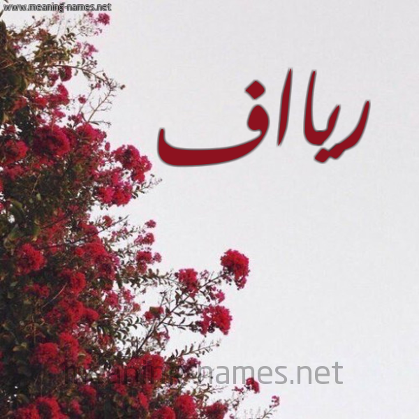 شكل 18 صوره الورد الأحمر للإسم بخط رقعة صورة اسم ريااف Ryaf