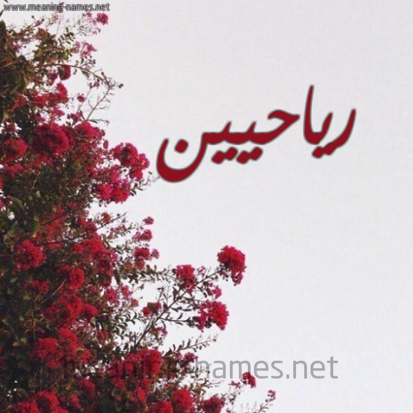 شكل 18 صوره الورد الأحمر للإسم بخط رقعة صورة اسم رياحيين Riyahin