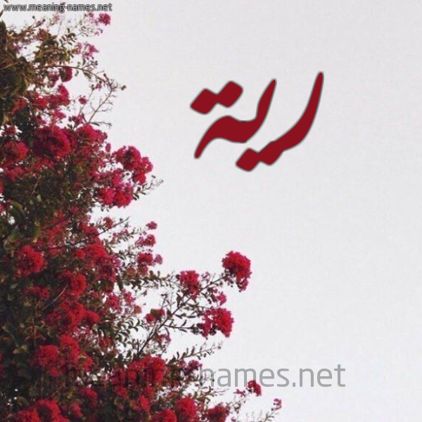 شكل 18 صوره الورد الأحمر للإسم بخط رقعة صورة اسم رية Ryh