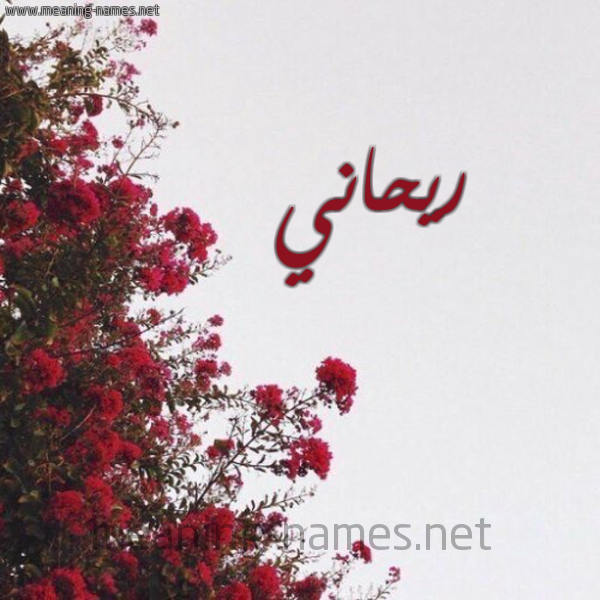 شكل 18 صوره الورد الأحمر للإسم بخط رقعة صورة اسم ريحاني RIHANI