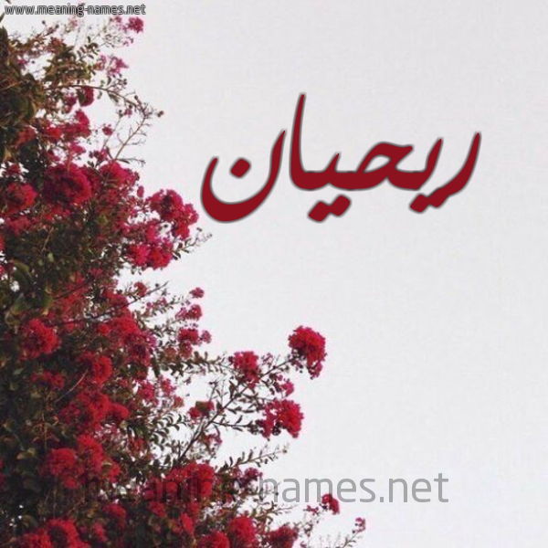 شكل 18 صوره الورد الأحمر للإسم بخط رقعة صورة اسم ريحيان Rihan