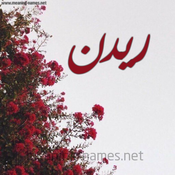 شكل 18 صوره الورد الأحمر للإسم بخط رقعة صورة اسم ريدن Radan