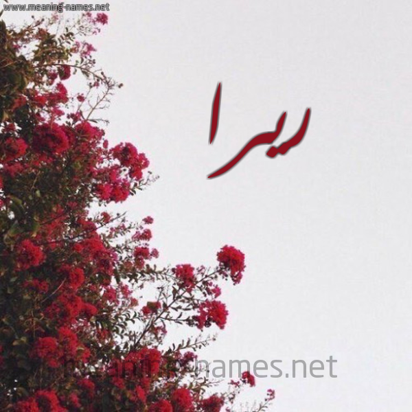شكل 18 صوره الورد الأحمر للإسم بخط رقعة صورة اسم ريرا rira