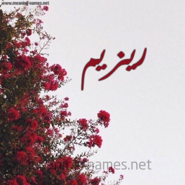 شكل 18 صوره الورد الأحمر للإسم بخط رقعة صورة اسم ريزيم Razeem