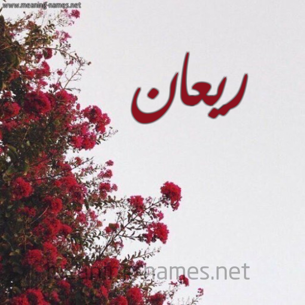 شكل 18 صوره الورد الأحمر للإسم بخط رقعة صورة اسم ريعان Ry'an