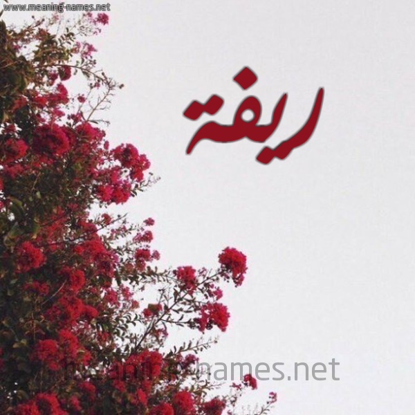 شكل 18 صوره الورد الأحمر للإسم بخط رقعة صورة اسم ريفة Ryfh