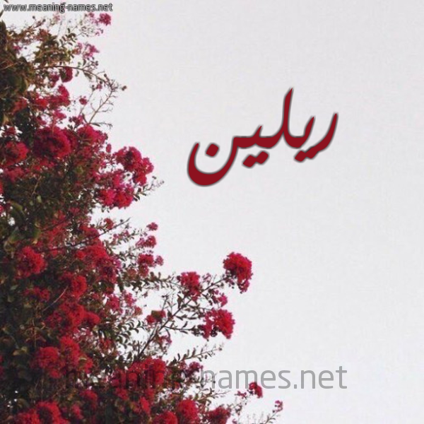 شكل 18 صوره الورد الأحمر للإسم بخط رقعة صورة اسم ريلين rilin