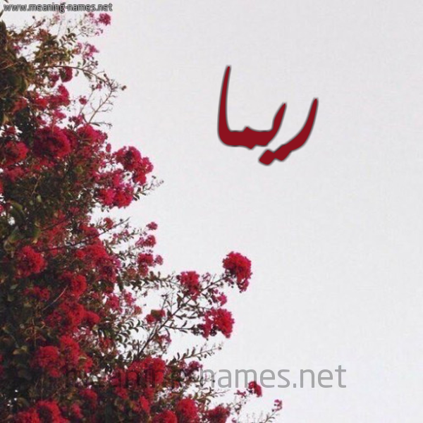 شكل 18 صوره الورد الأحمر للإسم بخط رقعة صورة اسم ريما Rima