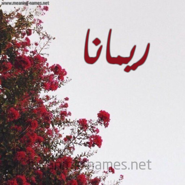 شكل 18 صوره الورد الأحمر للإسم بخط رقعة صورة اسم ريمانا Rimana