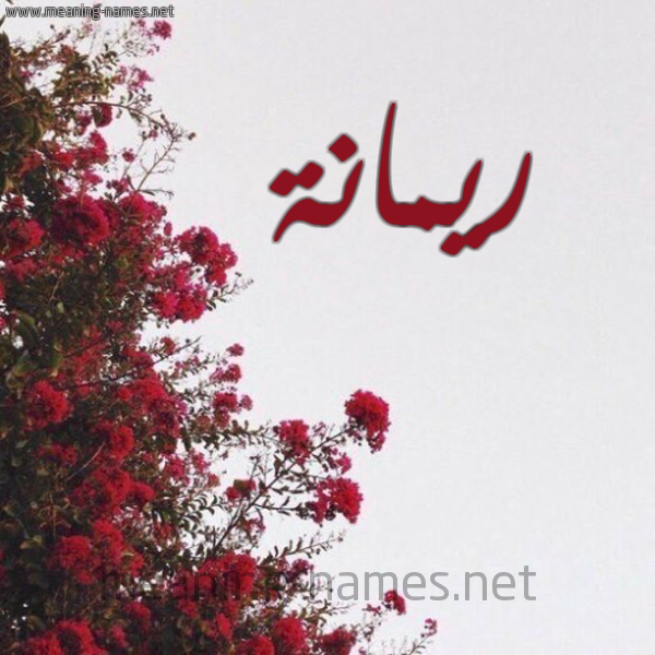 شكل 18 صوره الورد الأحمر للإسم بخط رقعة صورة اسم ريمانة Rimana
