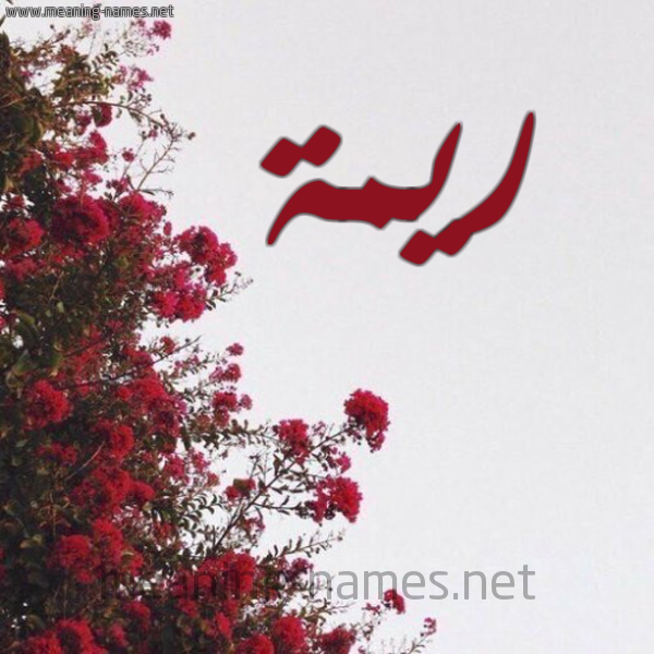 شكل 18 صوره الورد الأحمر للإسم بخط رقعة صورة اسم ريمة Rima