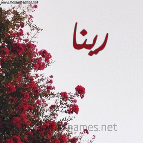 شكل 18 صوره الورد الأحمر للإسم بخط رقعة صورة اسم رينا rina