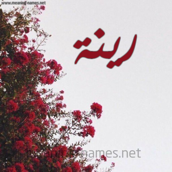 شكل 18 صوره الورد الأحمر للإسم بخط رقعة صورة اسم رينة Rina