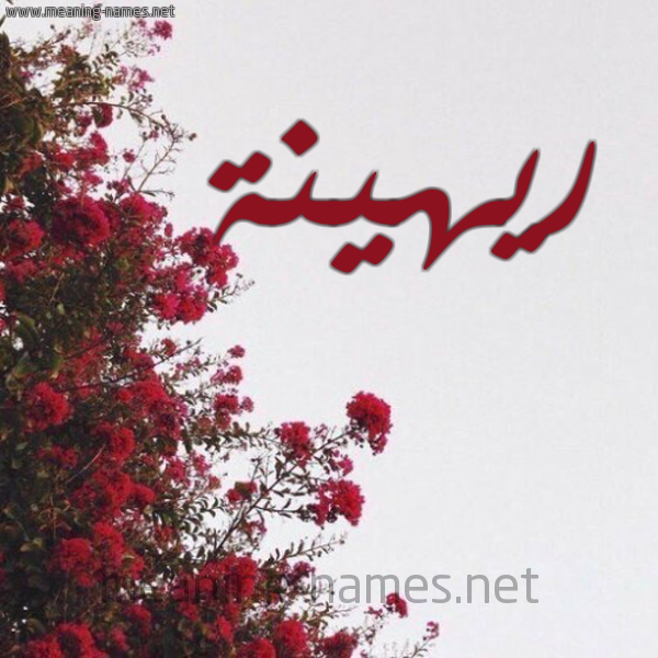 شكل 18 صوره الورد الأحمر للإسم بخط رقعة صورة اسم ريهينة Raheena