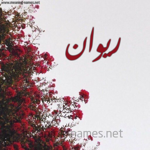 شكل 18 صوره الورد الأحمر للإسم بخط رقعة صورة اسم ريوان riwan