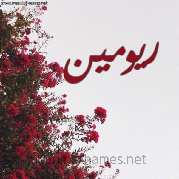 شكل 18 صوره الورد الأحمر للإسم بخط رقعة صورة اسم ريومين Rumen