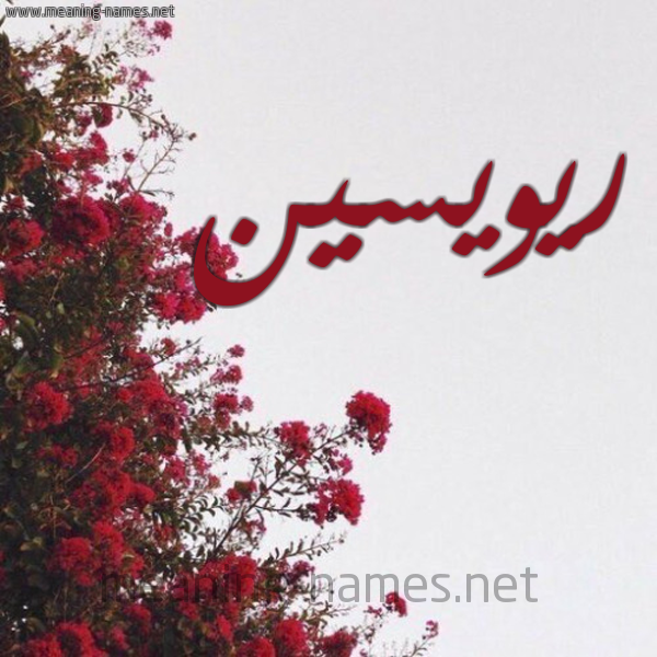 شكل 18 صوره الورد الأحمر للإسم بخط رقعة صورة اسم ريويسين Roisin