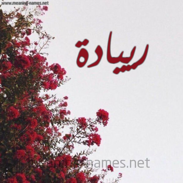 شكل 18 صوره الورد الأحمر للإسم بخط رقعة صورة اسم رييادة Riyadah