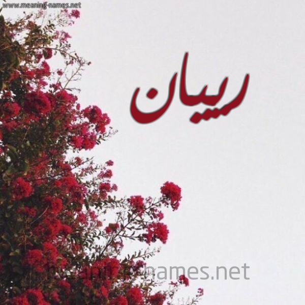 شكل 18 صوره الورد الأحمر للإسم بخط رقعة صورة اسم رييان Rayyan