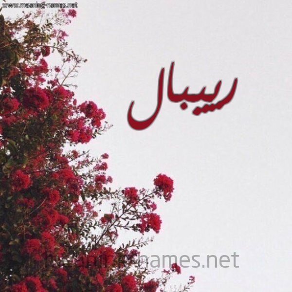 شكل 18 صوره الورد الأحمر للإسم بخط رقعة صورة اسم رييبال Reibal