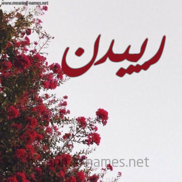 شكل 18 صوره الورد الأحمر للإسم بخط رقعة صورة اسم رييدن Raiden