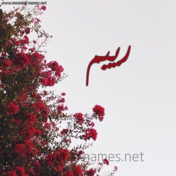 شكل 18 صوره الورد الأحمر للإسم بخط رقعة صورة اسم رييم Reem