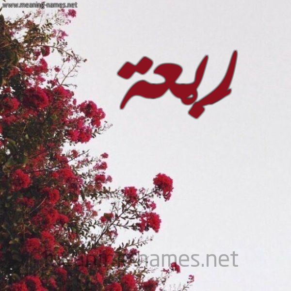 شكل 18 صوره الورد الأحمر للإسم بخط رقعة صورة اسم رَبْعة RABAH