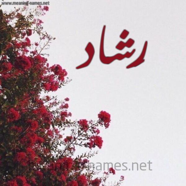 شكل 18 صوره الورد الأحمر للإسم بخط رقعة صورة اسم رَشاد RASHAD