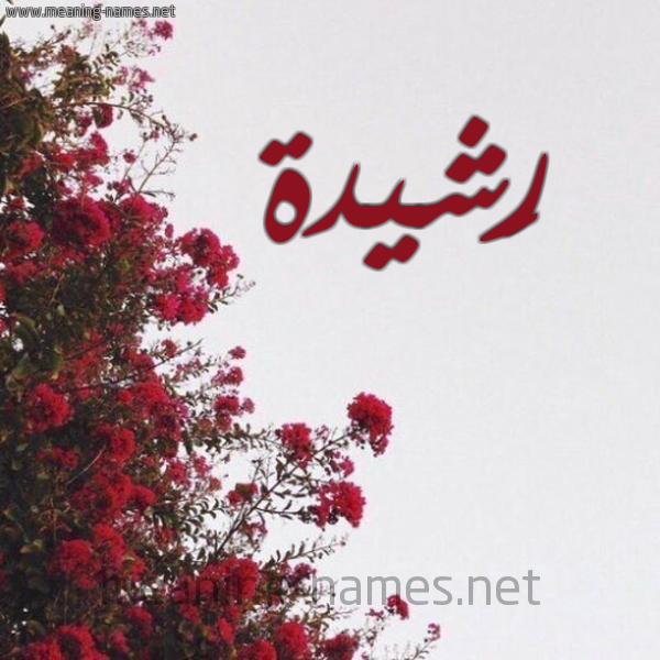 شكل 18 صوره الورد الأحمر للإسم بخط رقعة صورة اسم رَشيدة Rashida