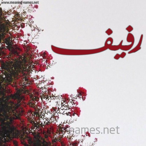شكل 18 صوره الورد الأحمر للإسم بخط رقعة صورة اسم رَفيف RAFIF
