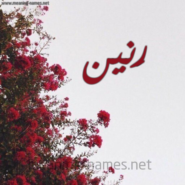 شكل 18 صوره الورد الأحمر للإسم بخط رقعة صورة اسم رَنين RANIN
