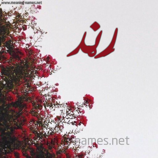 شكل 18 صوره الورد الأحمر للإسم بخط رقعة صورة اسم رَنْد RAND