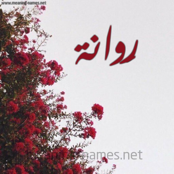 شكل 18 صوره الورد الأحمر للإسم بخط رقعة صورة اسم رَوانة RAOANH