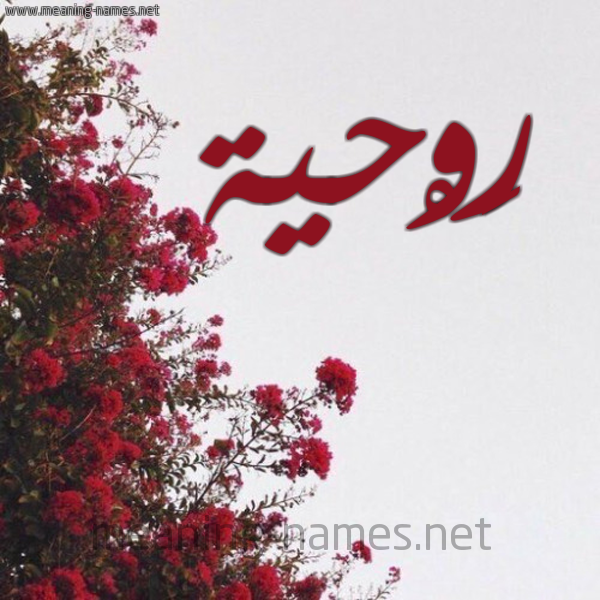 شكل 18 صوره الورد الأحمر للإسم بخط رقعة صورة اسم رَوْحية RAOHIH