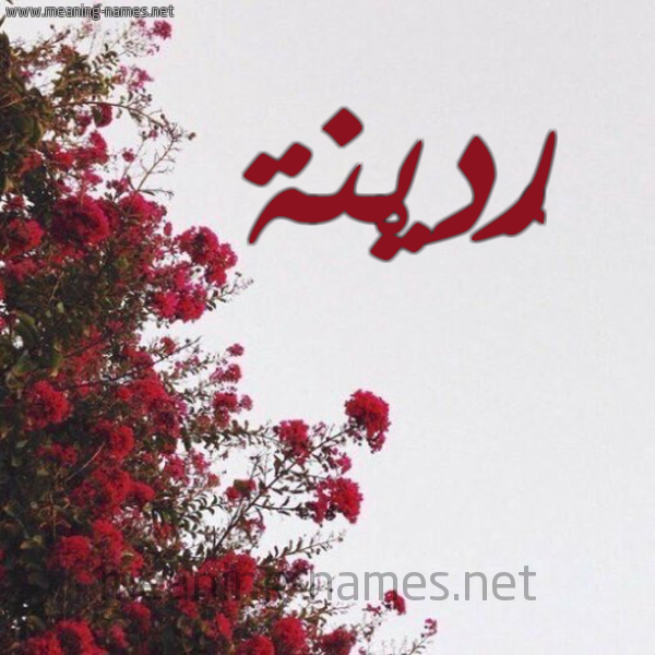 شكل 18 صوره الورد الأحمر للإسم بخط رقعة صورة اسم رُدَيْنة RODAINa